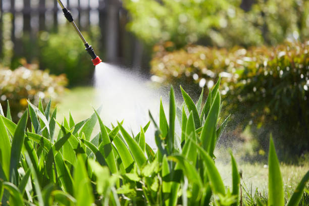 24/7 Emergency Wasp Removal experts in Royal Pines, NC