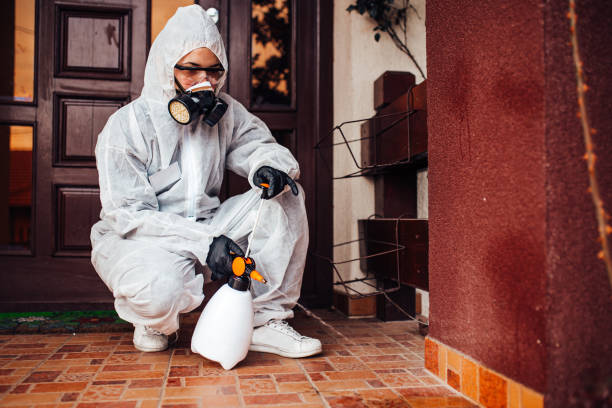 Reliable Wasp Removal contractor in Royal Pines, NC by Show Me Pest Control